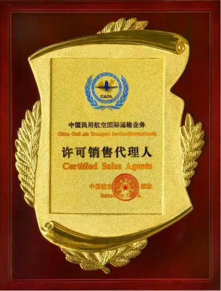 滨海荣誉证书
